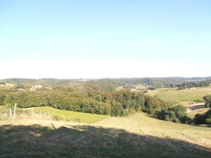 ???????????????????????????????