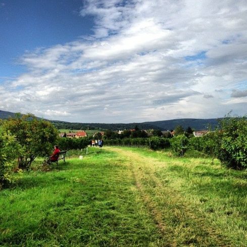 1229999_299629420179879_856511312_n