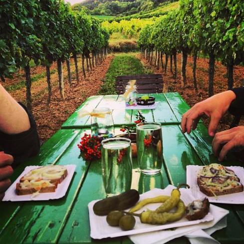 1236865_299676620175159_125904613_n