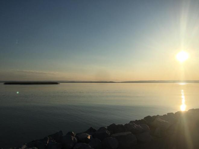 13124980_697714793704671_3747253290281401882_n